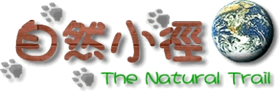 自然小徑網站 logo